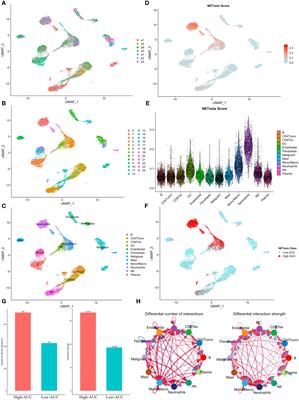 In-depth single-cell and bulk-RNA sequencing developed a NETosis-related gene signature affects non-small-cell lung cancer prognosis and tumor microenvironment: results from over 3,000 patients